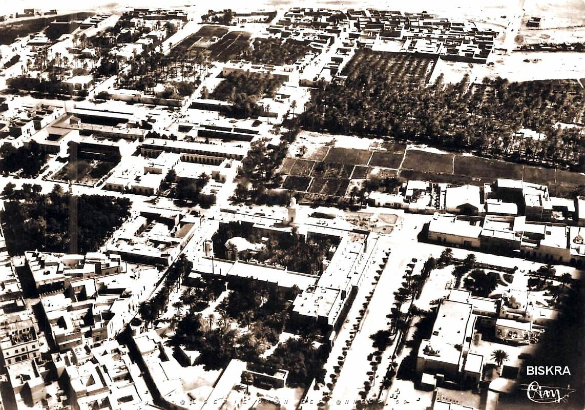 Biskra - Vue aerienne.jpg